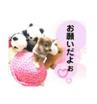 いろはちゃんちゃんちき（個別スタンプ：24）