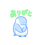むくちなぺんぎん（個別スタンプ：2）