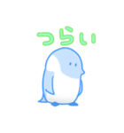 むくちなぺんぎん（個別スタンプ：17）