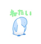 むくちなぺんぎん（個別スタンプ：30）
