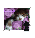 のはら 妙（個別スタンプ：8）