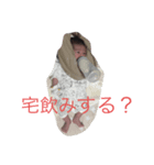 宅飲みかそれ以外か（個別スタンプ：1）