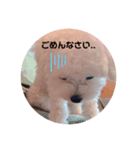 たまぽてのキモチ（個別スタンプ：5）