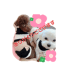 たまぽてのキモチ（個別スタンプ：7）