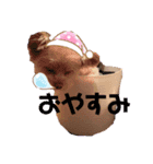 ひめちゃんスタンプ❣️（個別スタンプ：1）