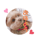 ひめちゃんスタンプ❣️（個別スタンプ：2）