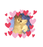 ひめちゃんスタンプ❣️（個別スタンプ：5）