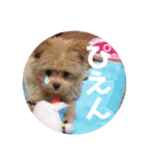 ひめちゃんスタンプ❣️（個別スタンプ：7）