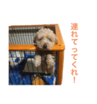 うちのぺっちゃん（個別スタンプ：8）