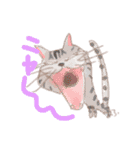 ねこ語で会話（個別スタンプ：2）