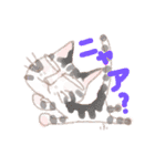 ねこ語で会話（個別スタンプ：8）