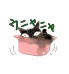 ねこ語で会話（個別スタンプ：13）
