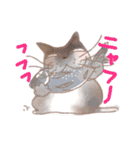 ねこ語で会話（個別スタンプ：17）