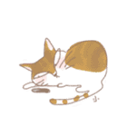 ねこ語で会話（個別スタンプ：21）