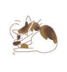 ねこ語で会話（個別スタンプ：29）