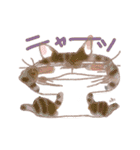 ねこ語で会話（個別スタンプ：31）