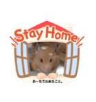 コロナに負けるなハム（個別スタンプ：2）