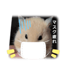 コロナに負けるなハム（個別スタンプ：3）