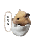 コロナに負けるなハム（個別スタンプ：4）