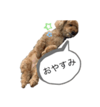 komugi スタンプ（個別スタンプ：2）