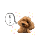komugi スタンプ（個別スタンプ：10）