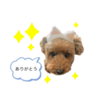 komugi スタンプ（個別スタンプ：12）