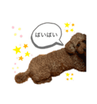 komugi スタンプ（個別スタンプ：15）
