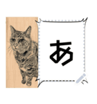 もの言う猫たち - 山田猫 vol. 11（個別スタンプ：15）