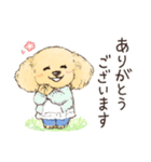 まるっこ犬 トイプードル(アプリコット)（個別スタンプ：6）