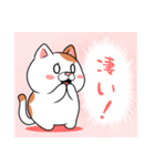 太っちょ猫【労い編】（個別スタンプ：15）
