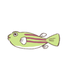 テトラオドンファハカがやってきた（個別スタンプ：2）