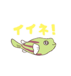 テトラオドンファハカがやってきた（個別スタンプ：23）