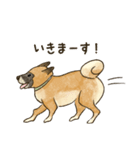 かわいい雑種犬スタンプ（個別スタンプ：17）