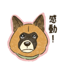 かわいい雑種犬スタンプ（個別スタンプ：22）