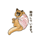 かわいい雑種犬スタンプ（個別スタンプ：38）