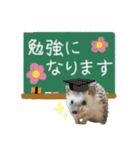 ハリネズミのウニたろう（個別スタンプ：1）