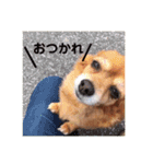 べるさんスタンプ（個別スタンプ：12）