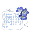 春のメッセージ花々バラエティパック2（個別スタンプ：5）