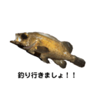 リアルお魚スタンプ（個別スタンプ：1）