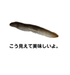 リアルお魚スタンプ（個別スタンプ：2）