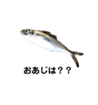 リアルお魚スタンプ（個別スタンプ：5）