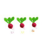 ベジタブル野菜 complete（個別スタンプ：23）