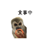 生意キッキ（個別スタンプ：8）