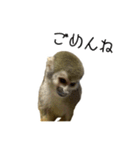 生意キッキ（個別スタンプ：9）