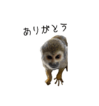 生意キッキ（個別スタンプ：10）
