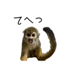生意キッキ（個別スタンプ：11）