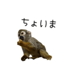 生意キッキ（個別スタンプ：15）
