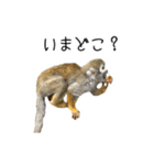 生意キッキ（個別スタンプ：18）