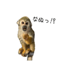 生意キッキ（個別スタンプ：19）