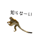 生意キッキ（個別スタンプ：22）